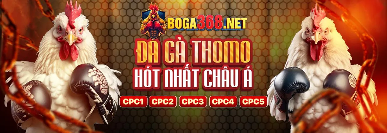 Hệ thống bảo mật và công bằng của m66 win